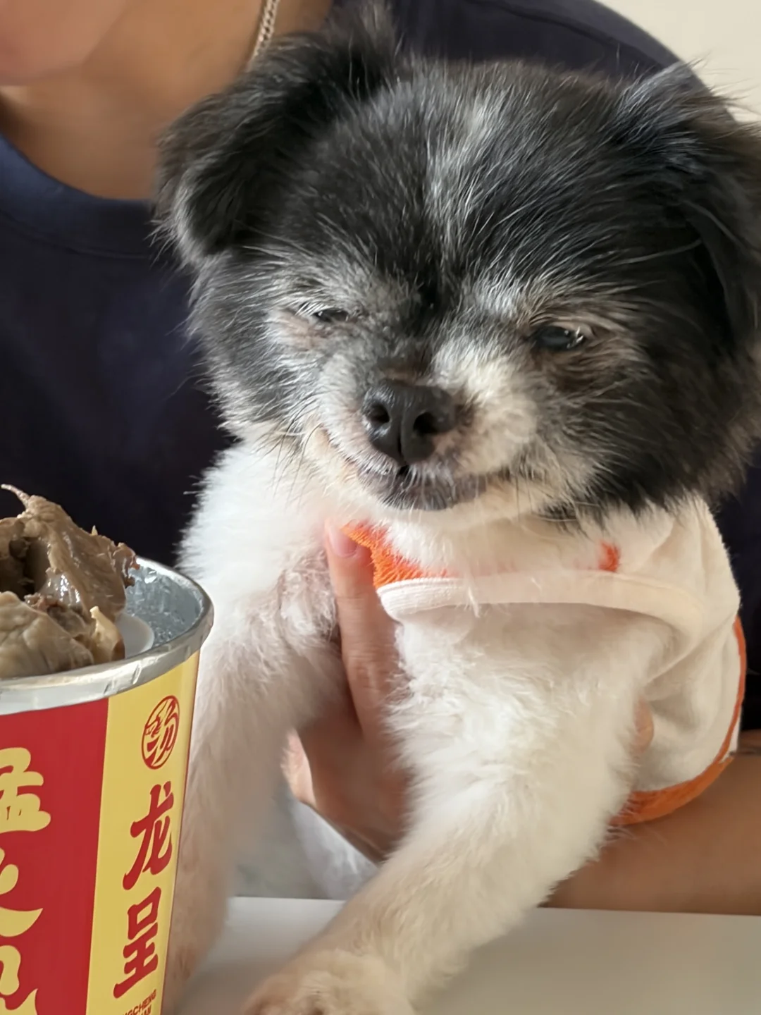 差点就给吃上大补了😝