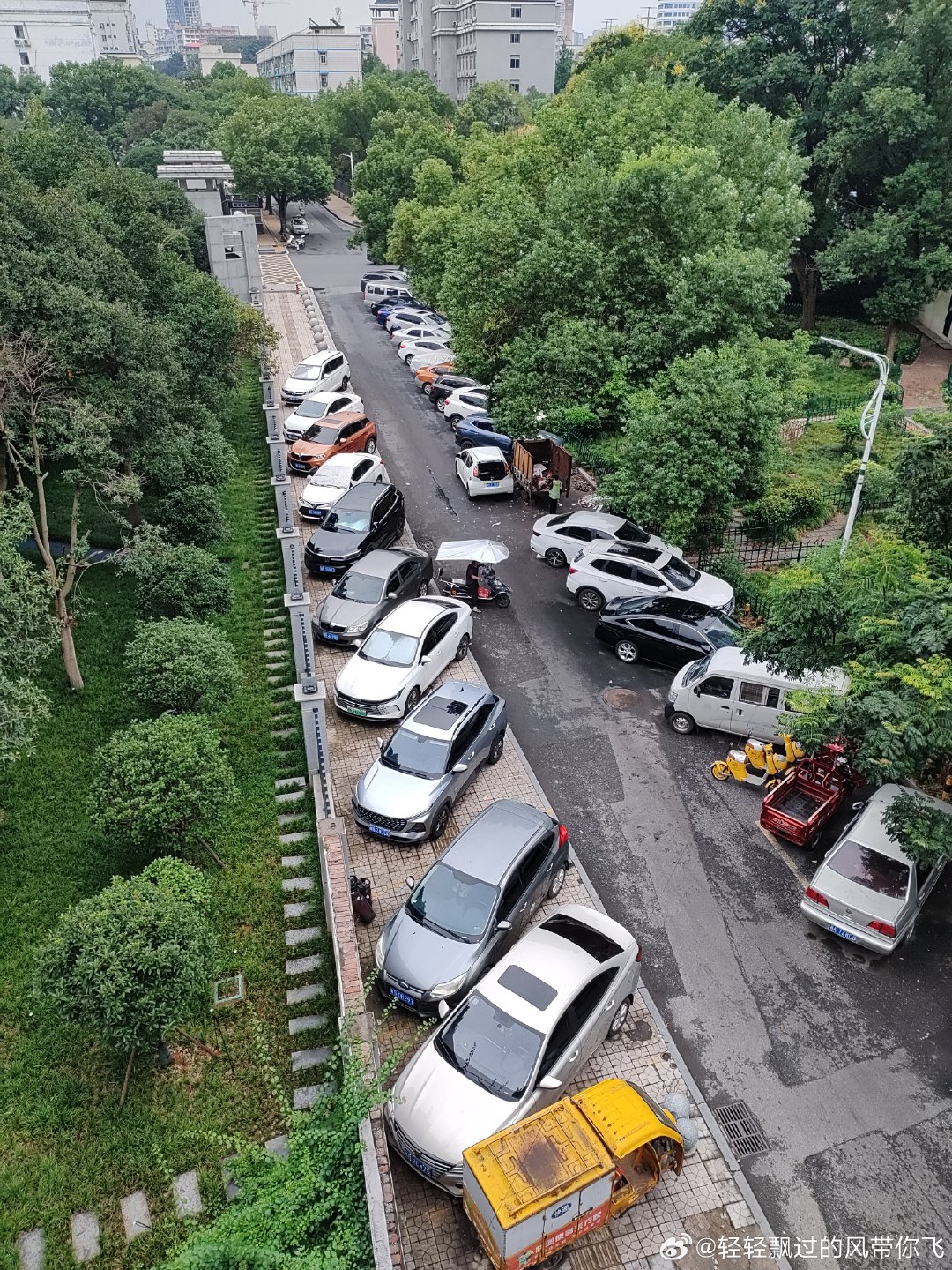 没有一台是临时停靠，全部是僵尸车！#僵尸车#  ​