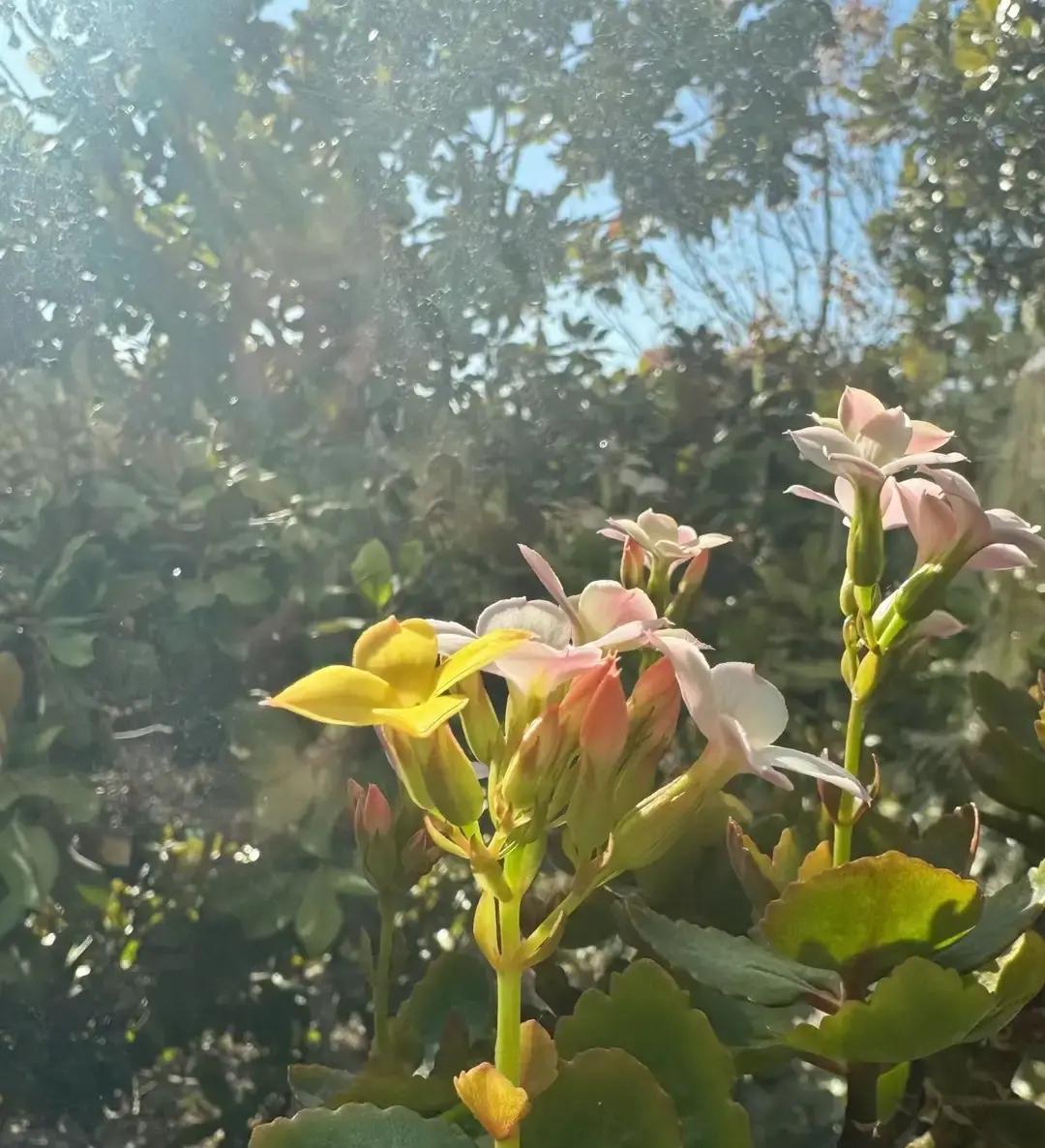 ;结婚20年，45岁老婆的‘反常’操作让我彻底懵了！    都说中年...