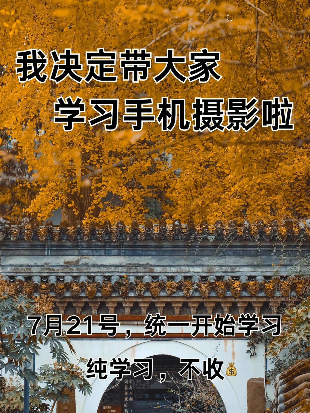 我决定带大家学习手机摄影啦！！