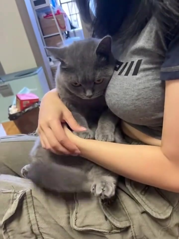 还是猫咪软  ​ ​​​。 ​​​