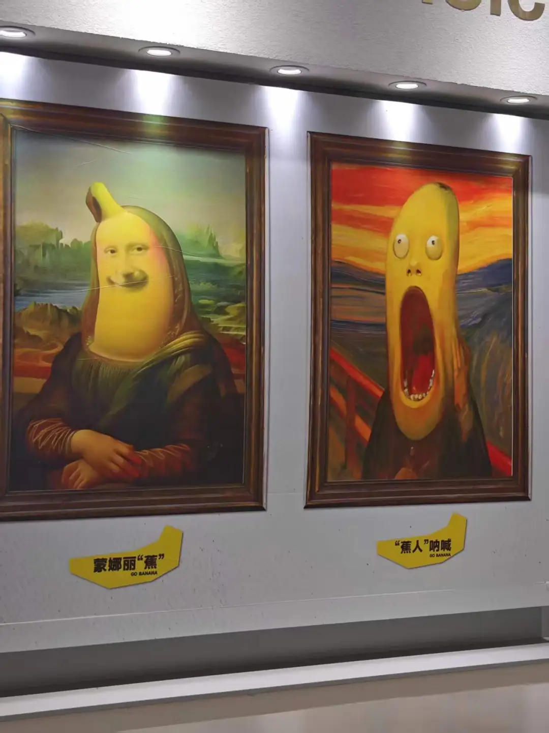 蒙娜丽🍌的呐喊😂