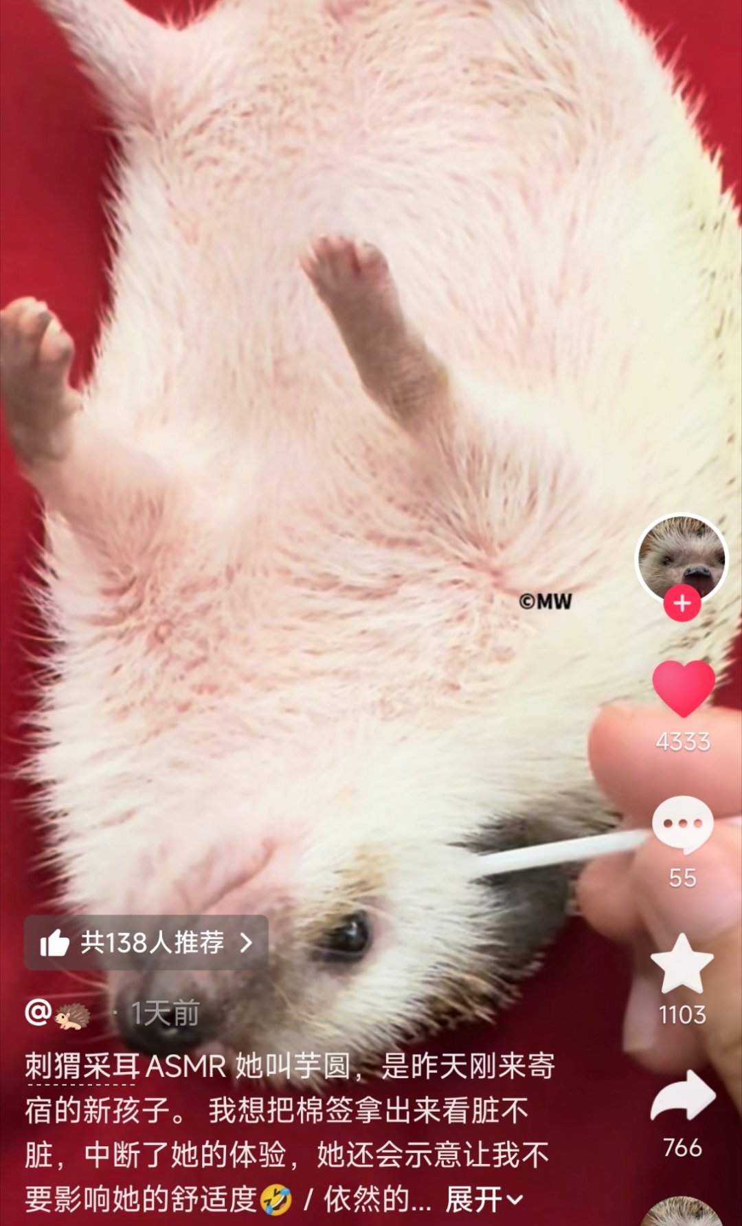 睡得晚就能开辟更多助眠赛道 ​​​