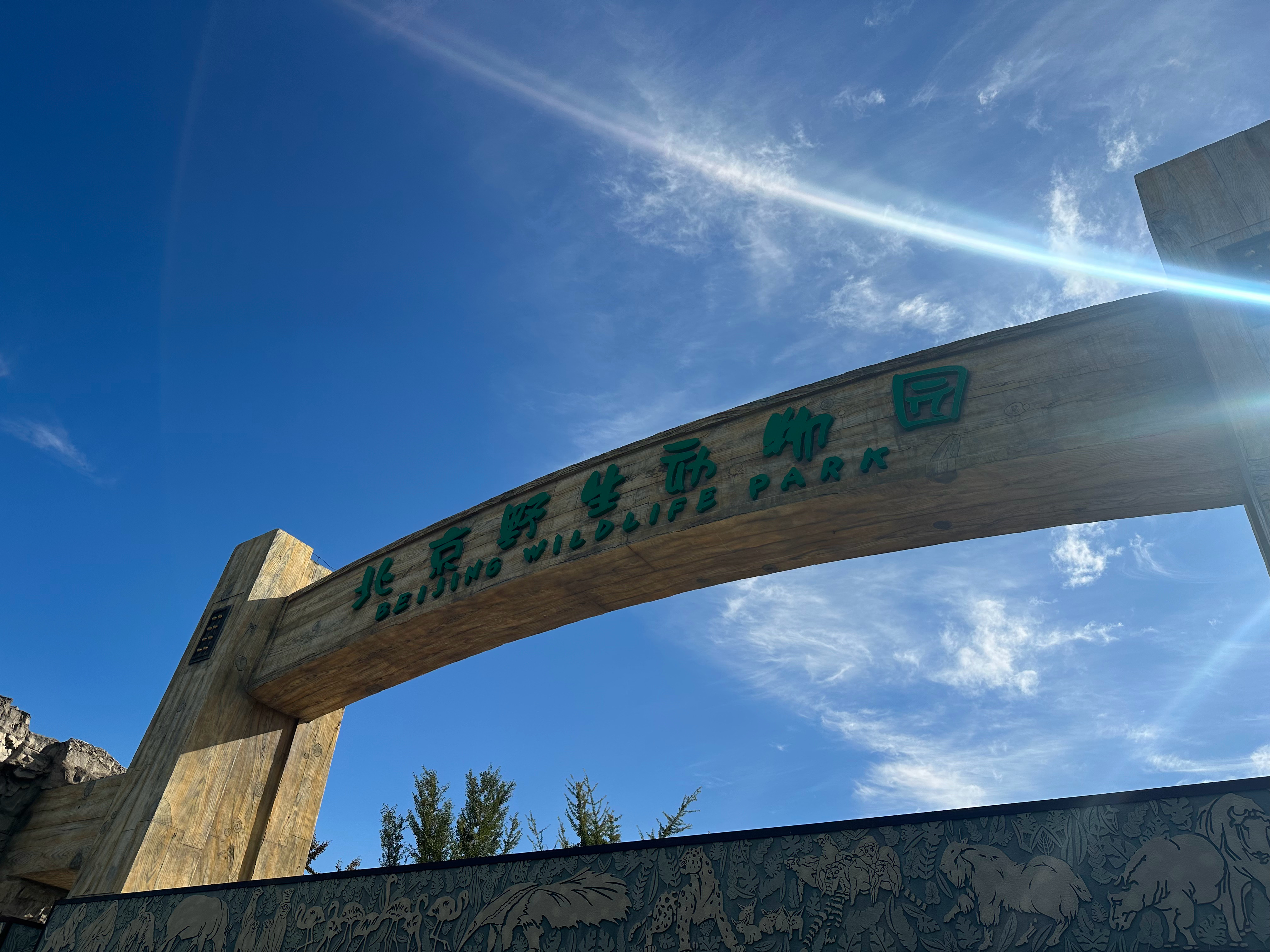 教师节的时候蹭了一次免费的门票🎫～
北京野生动物园真的好好玩～很累，但是好开心
我的宝宝就是我最好的饭搭子，旅游搭子，八卦搭子，逛街搭子，和他出门永远什么也不用操心[开学季]出门开车我坐副驾饿了就吃，困了就睡[兔子]  ​