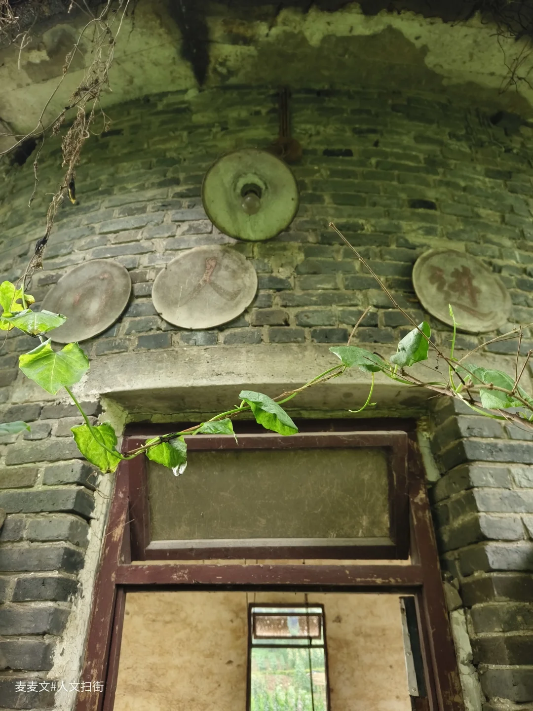 【巴南】一闲置取水泵房正在被绿植侵蚀