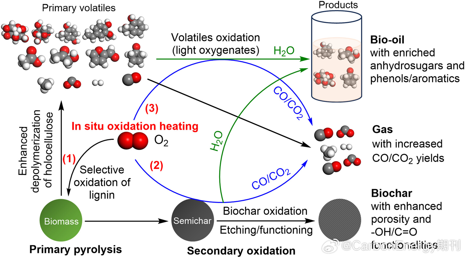 【安徽农业大学李斌&登嘉楼大学蓝世雄Carbon Energy：有氧快速热解实现生物质自热联产高值生物炭与生物油】
研究团队创新性发展了流化床生物质有氧快速自热热解技术，以松木屑为原料，在500℃条件下通过精准调控氧气当量比，实现生物质高效定向热转化。研究表明，微量氧气引入可选择性氧化生物炭，通过 ​