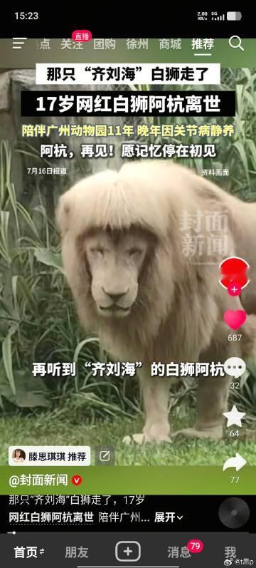 阿杭拜拜
