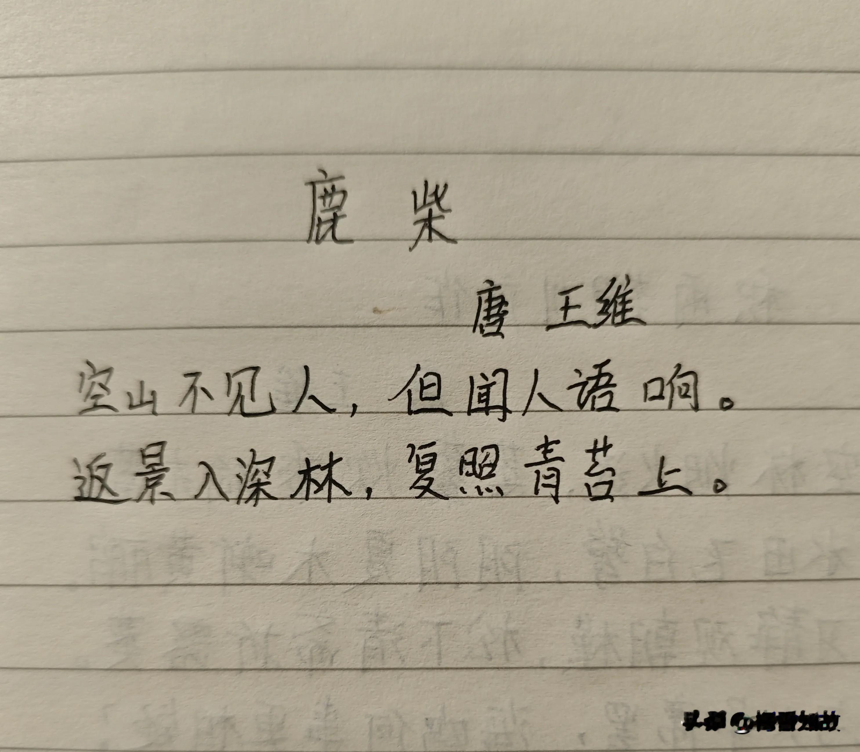 抄书打卡第13天 ｜《鹿柴》王维