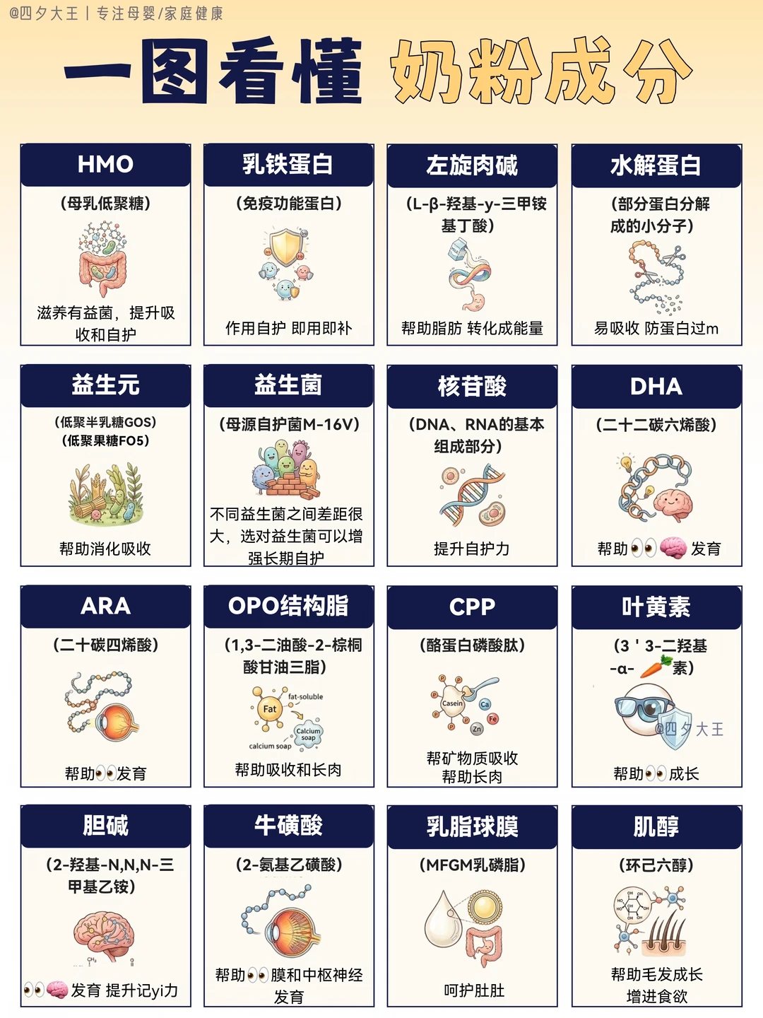 奶粉成分剖析，大白话解说，一文全看懂‼️