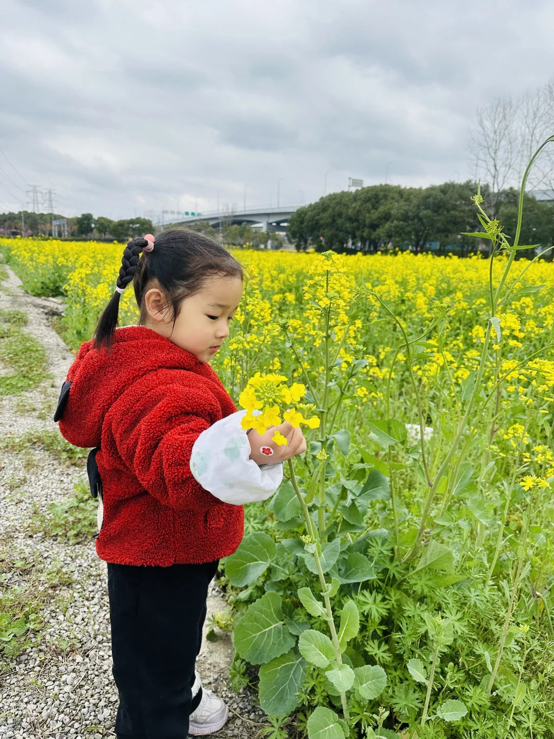 陪孩子一起看春天的花海吧
