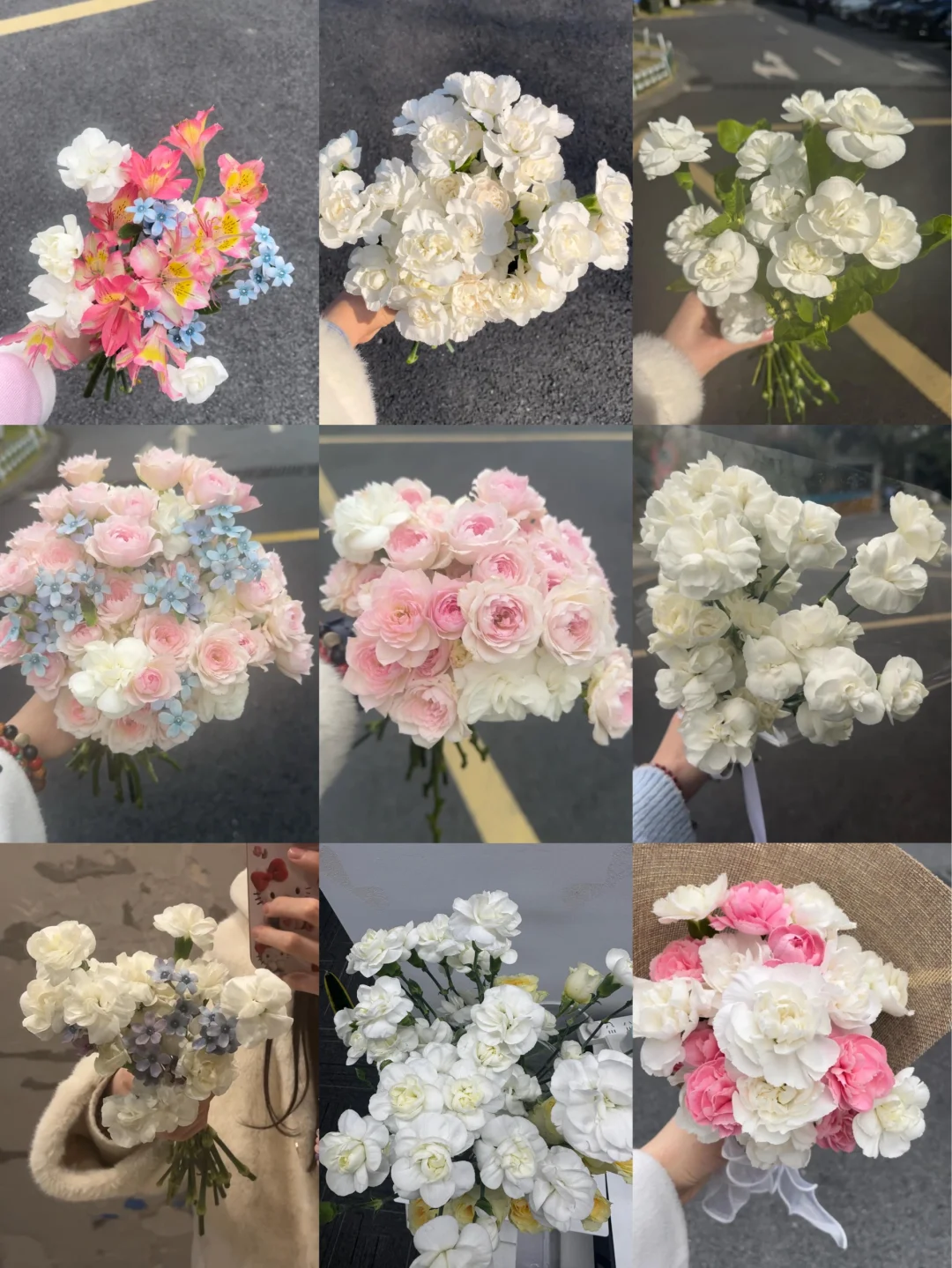 茉莉组合合集 世界是一个巨大的菀菀类卿