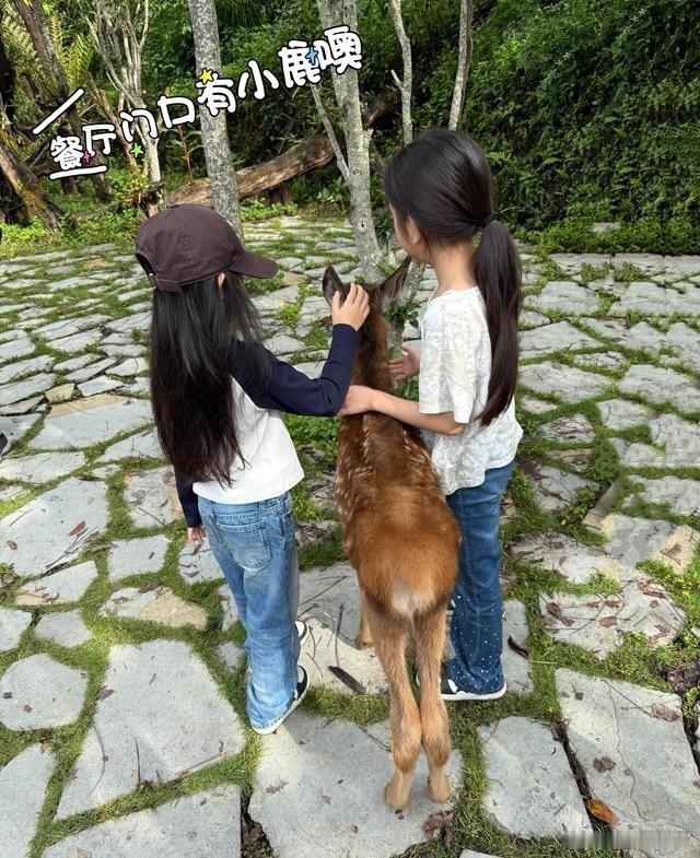 37岁方媛怀三胎带俩女儿去西双版纳，穿白裙露细腿还戴金冠拍写真，网友：这哪像三孩妈，肚子藏哪了 ​