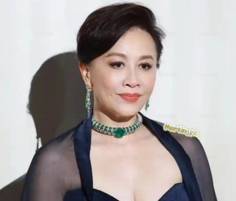 宝格丽晚宴生图太狠了！蔡依林被嘲像三天没睡，刘亦菲被指“姨化”，吴磊金丝眼镜翻车，全场最稳的居然是59岁的她 ​