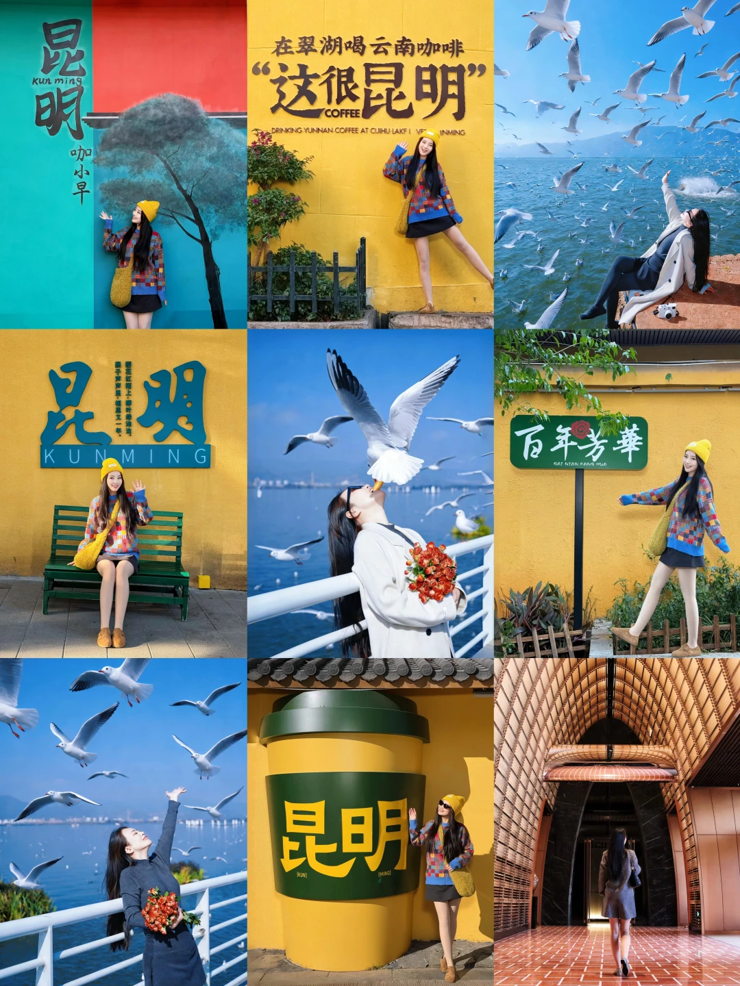 昆明追鸥季｜3天2晚治愈系citywalk攻略