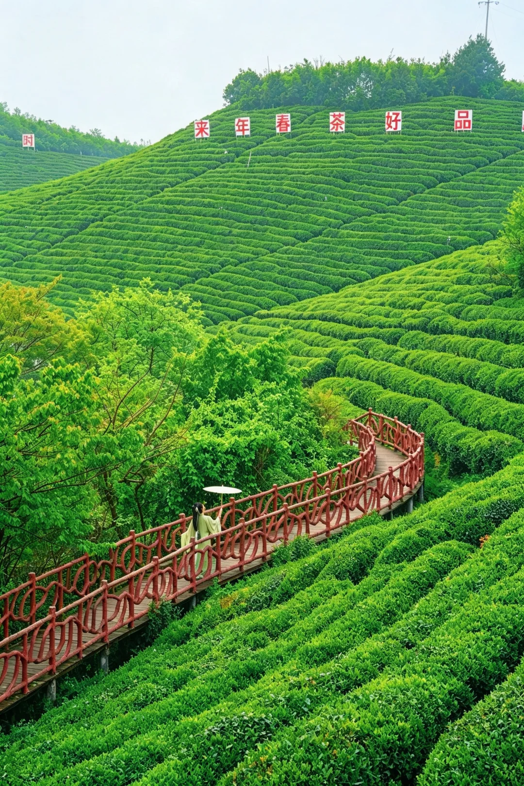 春天的螺蛳壳茶山/就是现实版的抹茶千层🍃