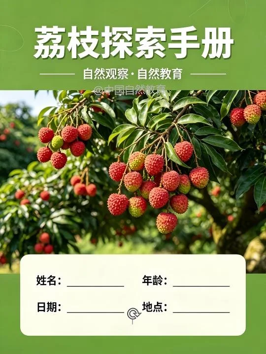 自然教育科普｜一颗红果里藏着自然生存大智慧！ 带娃解锁岭南佳果的自然密...