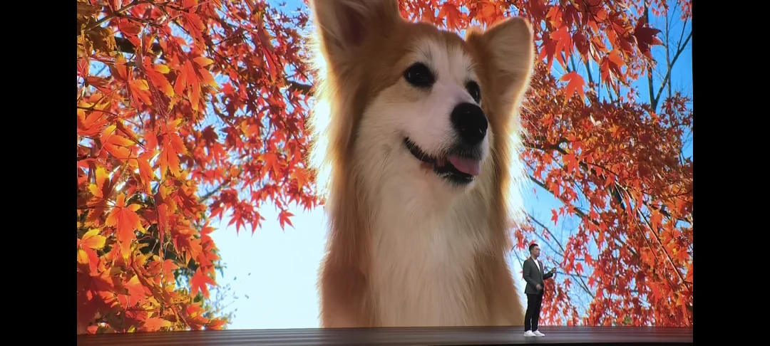 前后都用上红枫镜头，华为你不过了吧