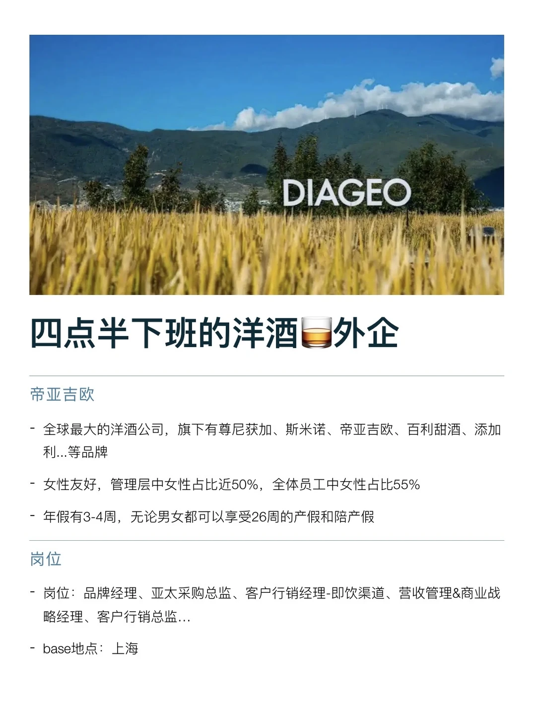 四点半下班洋酒🥃公司，真的没人想来吗