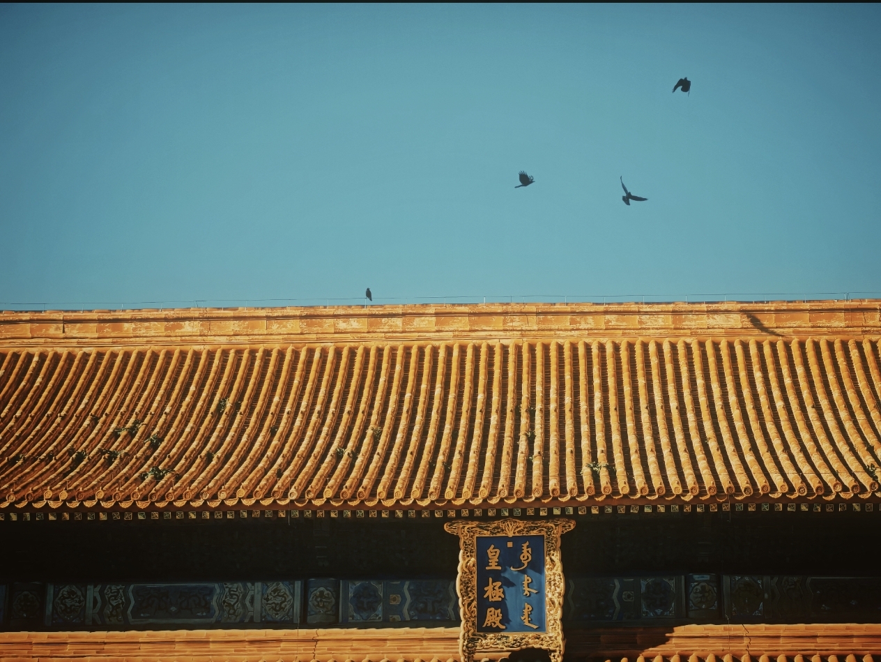 故宫 末代皇帝