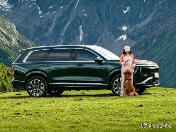 五菱星光L的横空出现，以铁一般的事实打破传统偏见！大六座SUV不是少数人的奢侈品，没有二十万以上的预算，同样可以有体面的大六座！星光L以10.98万元起的价格，正式宣告大六座SUV正式迈入十万时代。

过去选六座车，看得上眼的大六座，价格动辄在二十万以上，而且第三排通常比较局促狭窄，小孩子坐还可以，