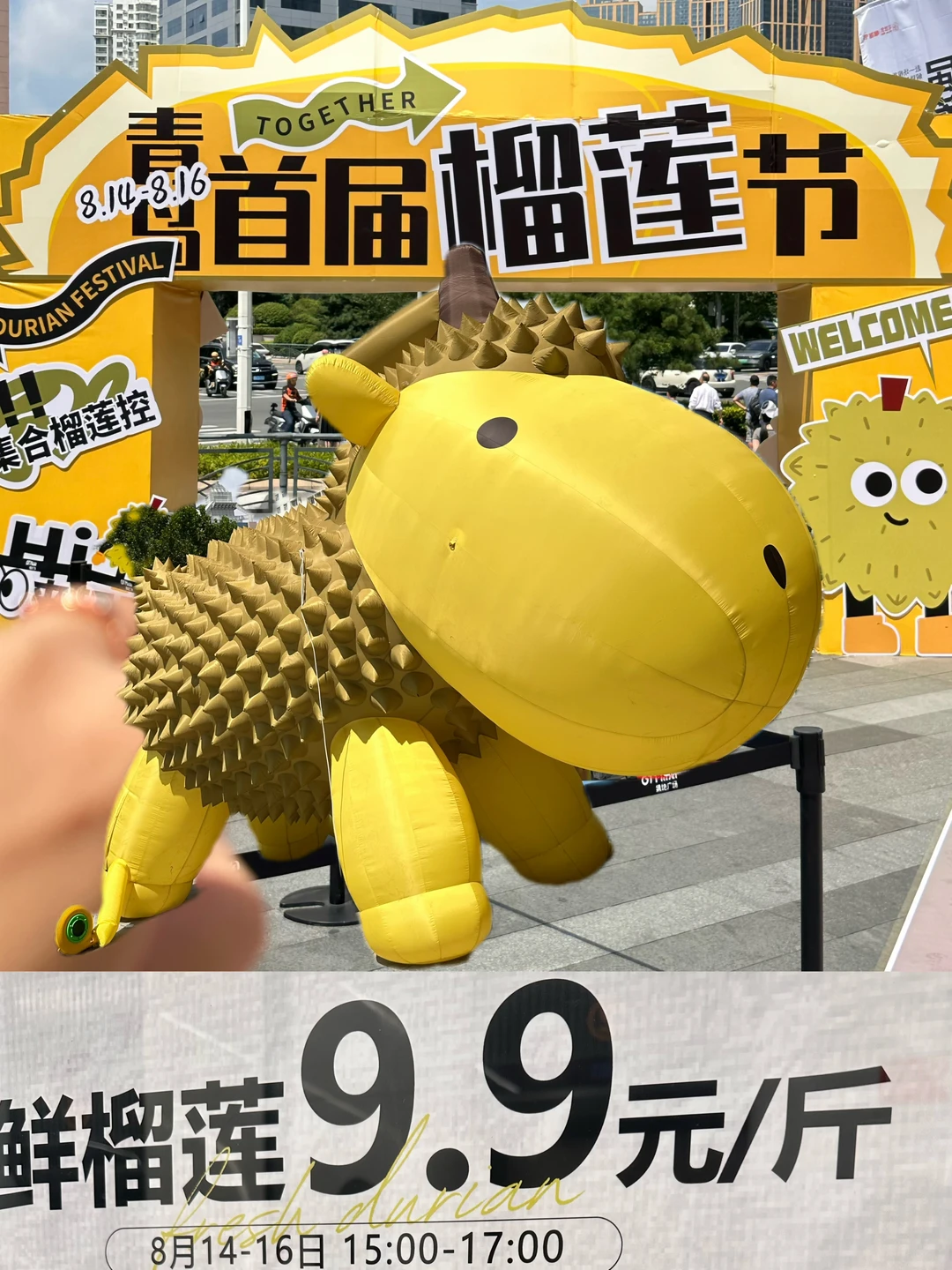 青岛首届榴莲节！9.9元一斤？