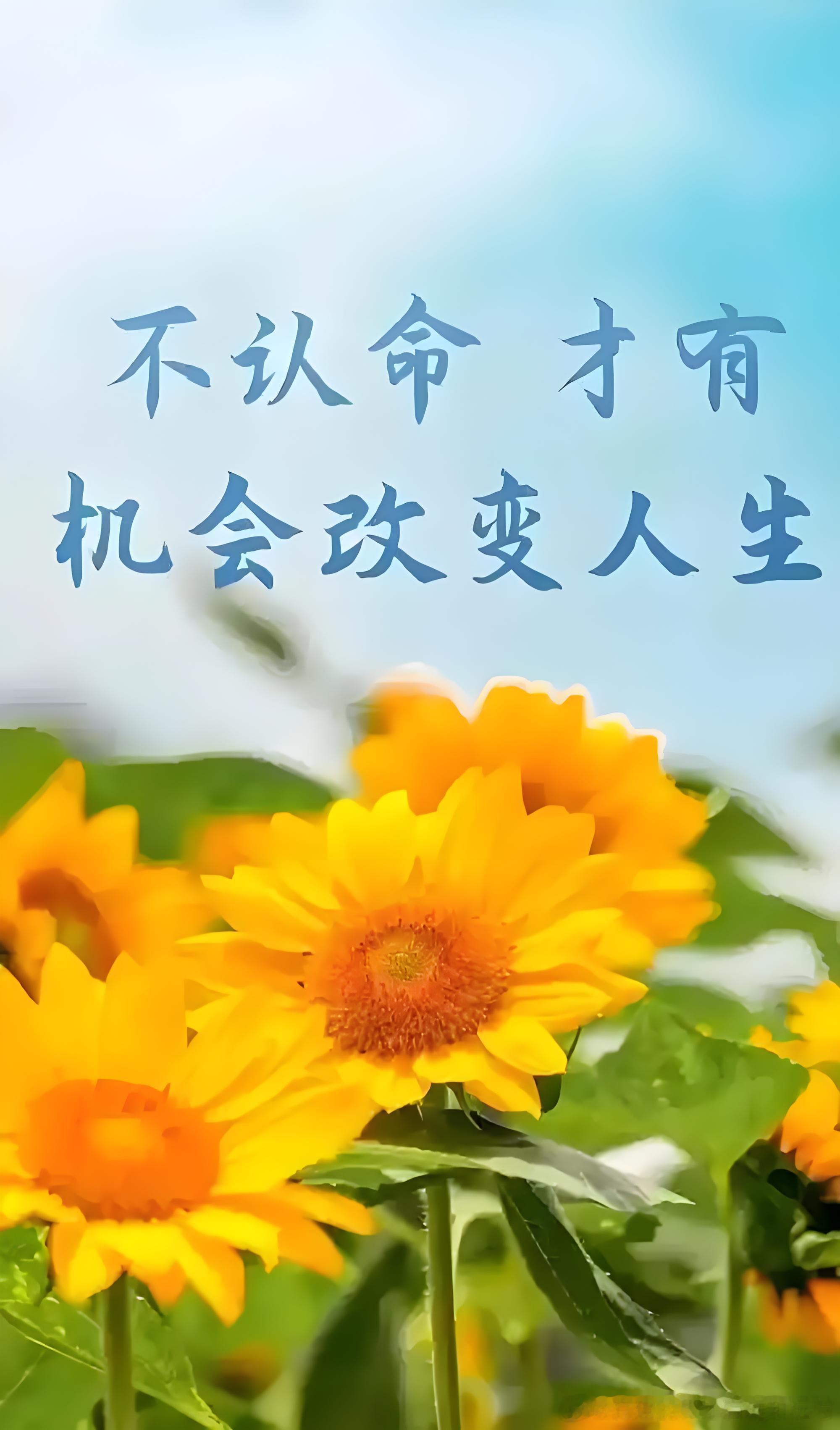 脑机接口能不能应用在工作和学习上面，抛出一个问题，立刻给出一个360度无死角的回答，而且能反馈出更多意想不到的答案。下班回到家就把芯片取出来做自己，机器人也没啥不好，除了没有什么感情，解决问题能力，情商智商都在线。做人总是会有各种各样的缺陷，与人交流会有各种各样的摩擦。真的觉得自己 ​