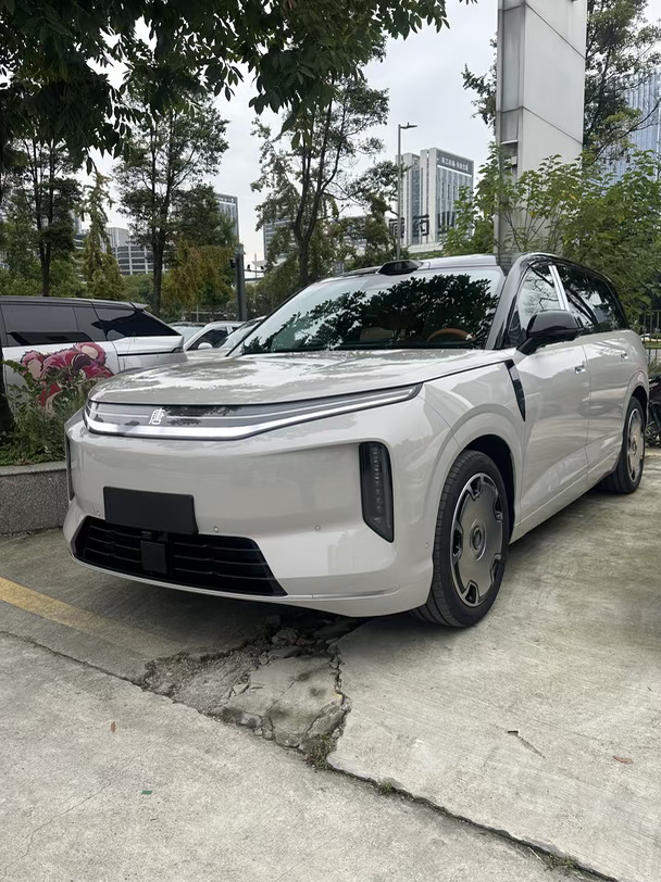 之前没看到实车，觉得大唐洒金米不好看