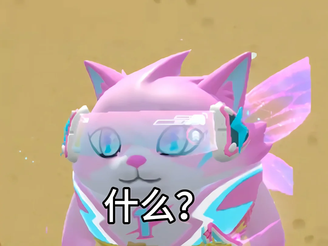 。。。。。。
