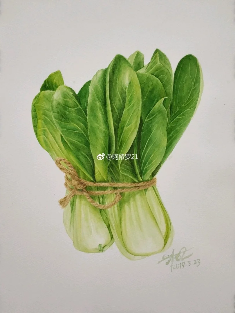 水彩小白菜