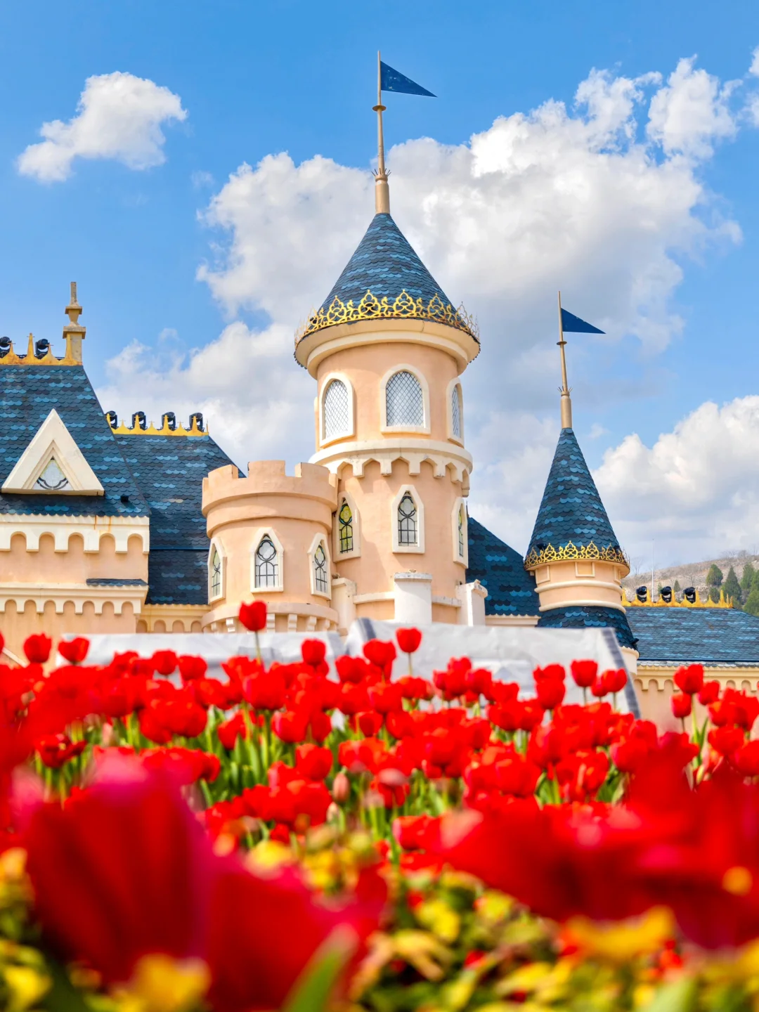 不输迪士尼！江浙沪最浪漫的游乐园出现了….