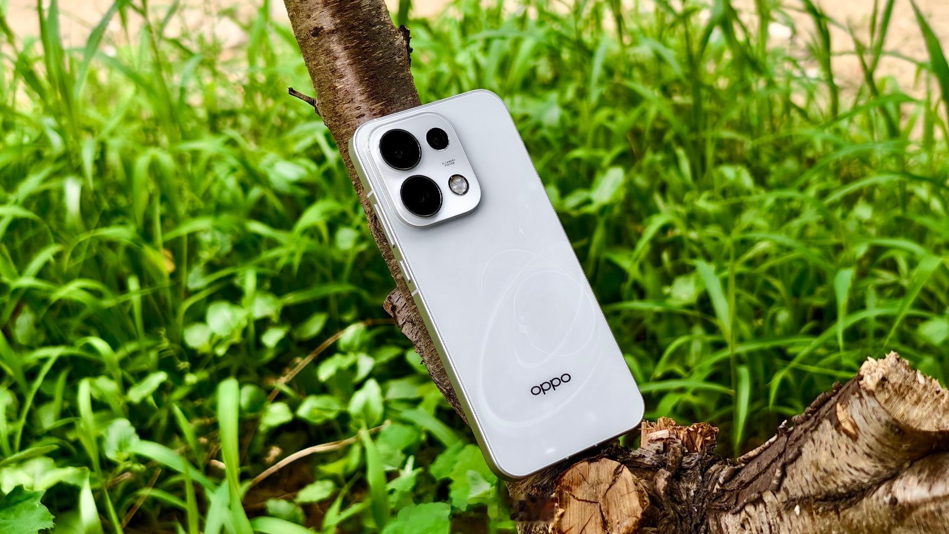 据报道，OPPO 计划于本月对其旗下多款智能手机产品进行价格调整，涉及 Reno16 系列及一加 Turbo 6X Pro 系列，涨价幅度在 300 元至 500 元区间。目前，部分门店已经更换 OPPO Reno16 价格指示牌，OPPO Reno16 型号改为 OPPO Reno16t。（界面新闻）

据上海徐汇区某 OPPO 授权门店销售人员透露，品牌方 ​