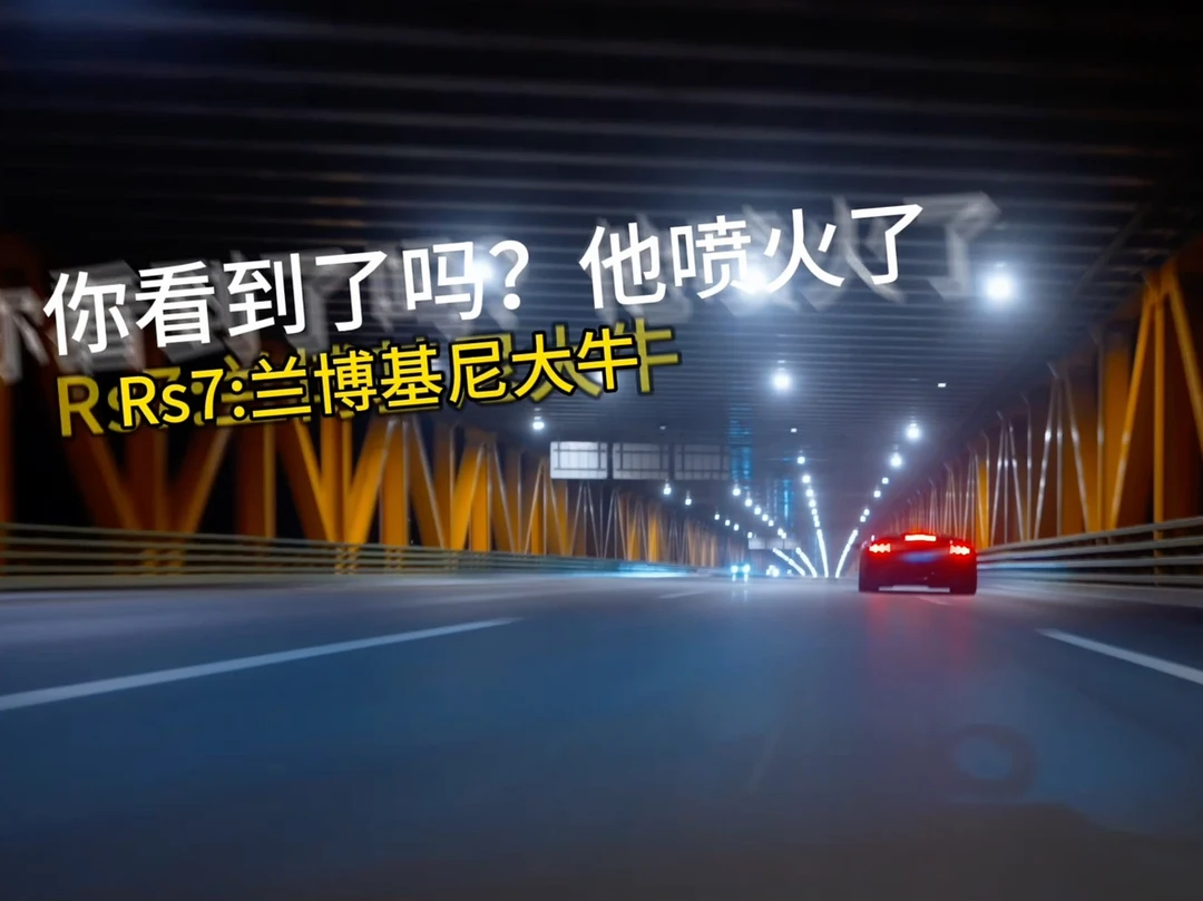 Rs7 vs兰博基尼大牛 谁直线比较厉害？