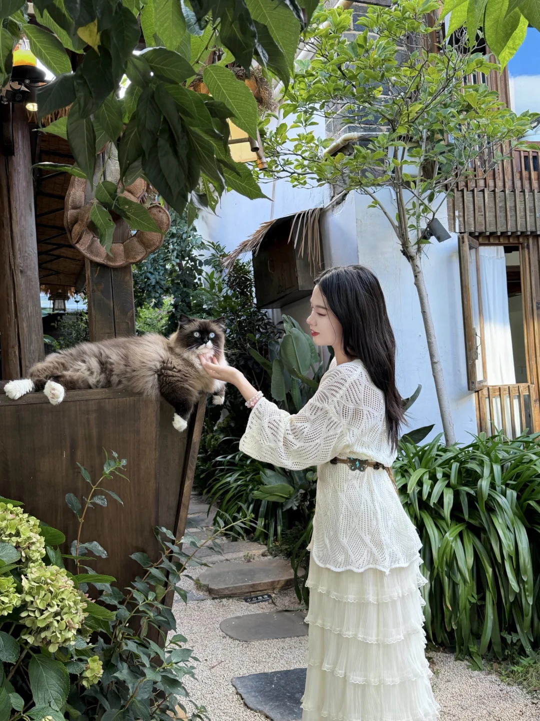 🍃被猫咪“盯”到的治愈小院～