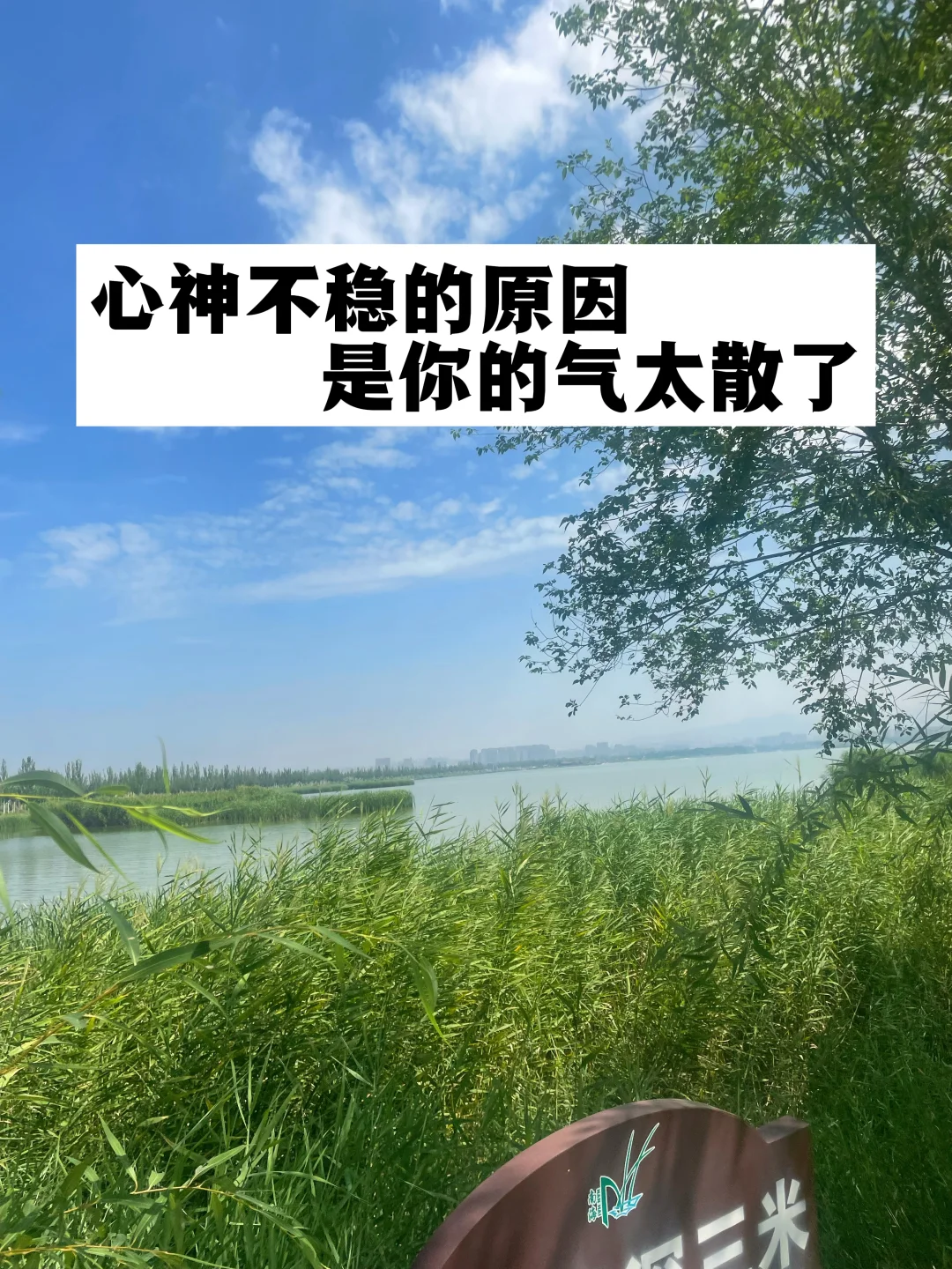 心神不稳的原因，是你的气太散了！