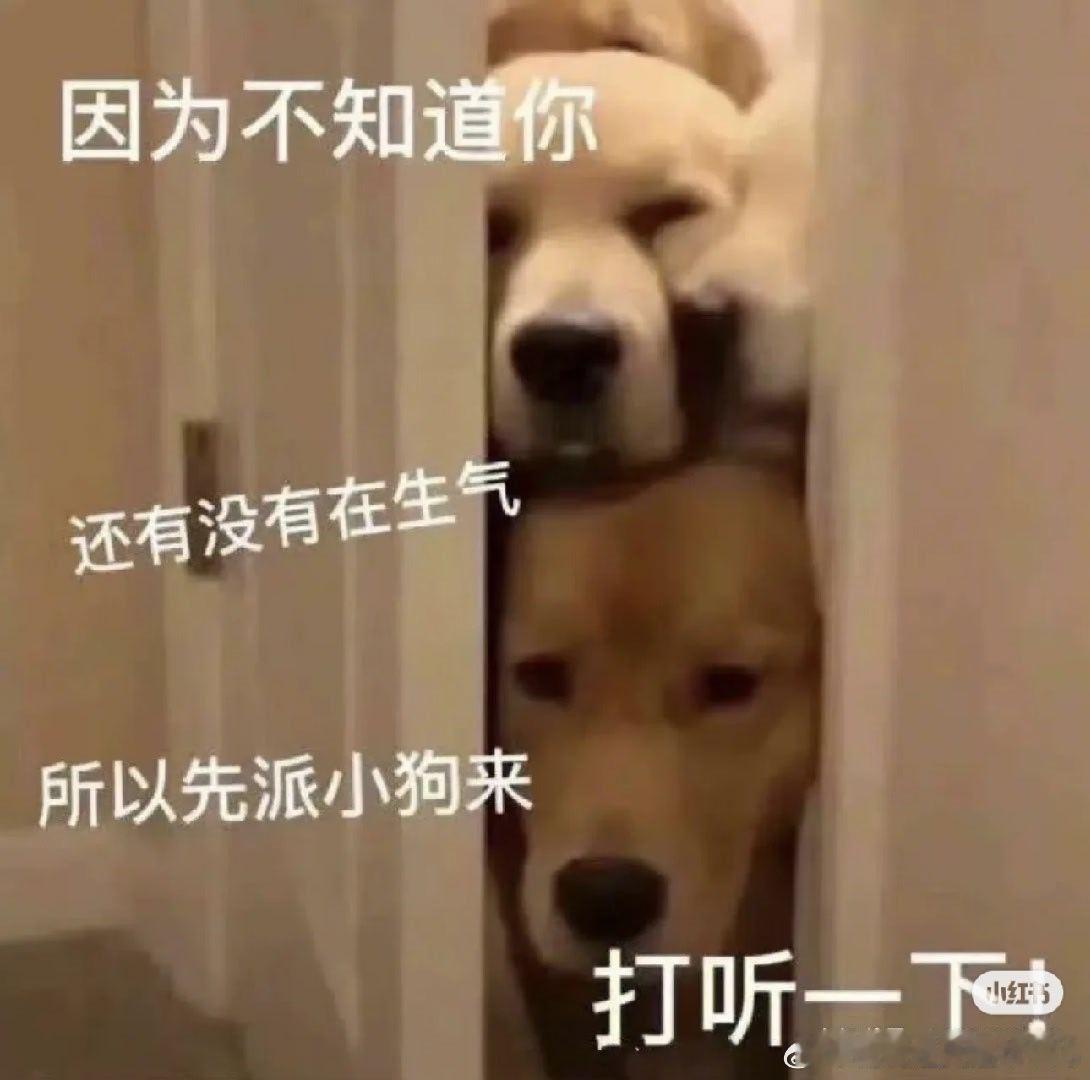#支付宝辟谣狗腿付# 这件事看得出来大家对于智能生活的向往。机器狗跑腿付款只是一个起点，随着AI技术持续迭代，以后还会诞生更多有意思、实用的智能工具。#网友称狗腿付才是真接地气# ​