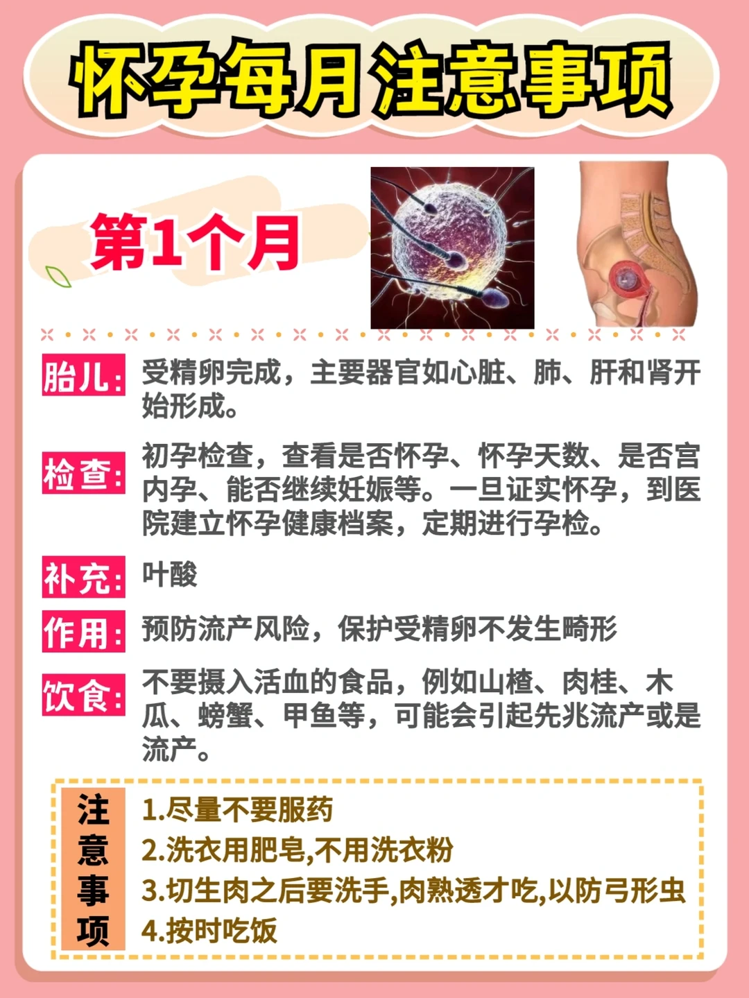 ㊙️怀孕后一定要注意的事！附孕期知识总结