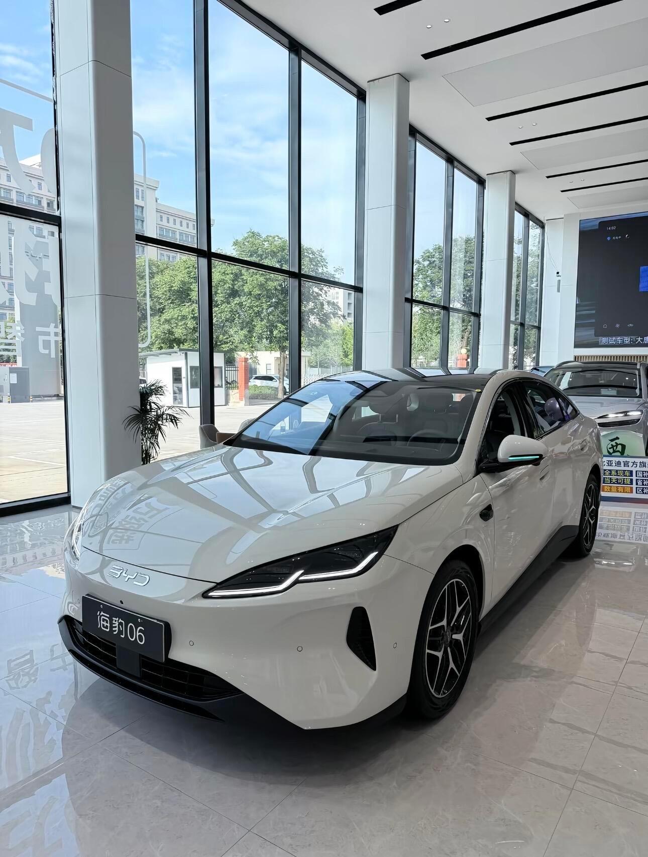 海豹06 EV 
✅ 优点
⛽ “2L级”亏电油耗：极致省钱：NEDC工况亏电油耗仅2.9L/100km，即使日常不充电、完全当油车开，每公里油费也不到0.25元。
🏠 2790mm轴距的“大五座”空间：后排腿部空间非常宽裕，地台几乎纯平，坐垫长度充足。后备箱容积约550L，放倒后排可扩展至约1200L。
🔧 后四连杆独立 ​