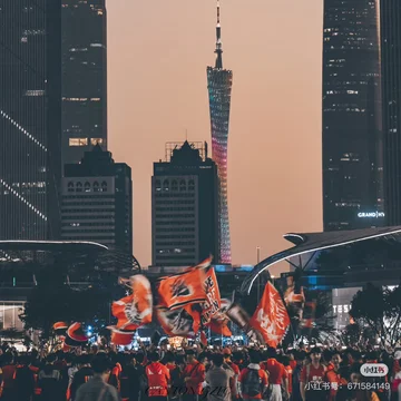 旅行的小鸟