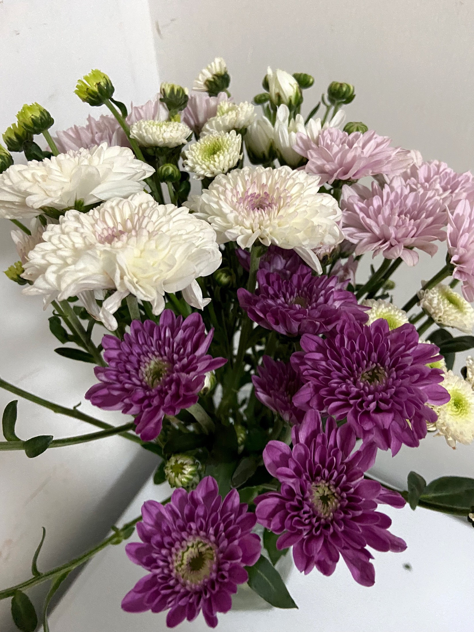 什么样的女性才叫有气质?