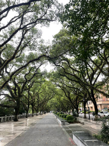 滨江路<br />烟雨桂林
