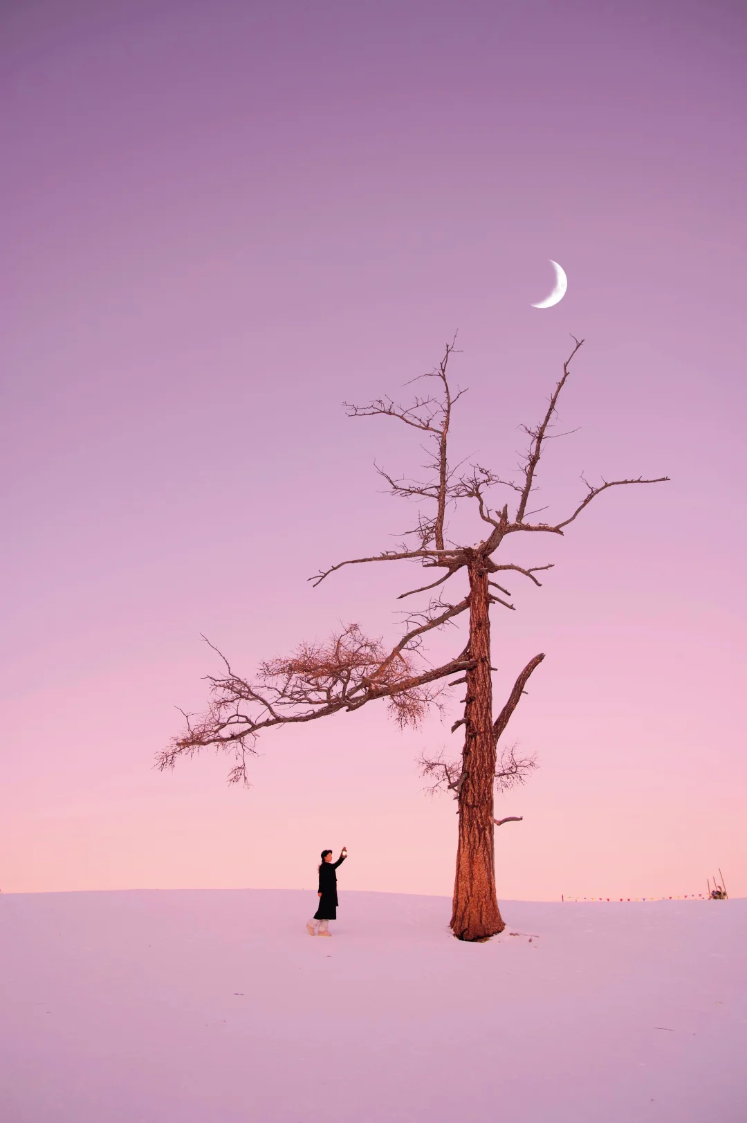 没人能拒绝冬天的阿勒泰！！附新年旅行攻略