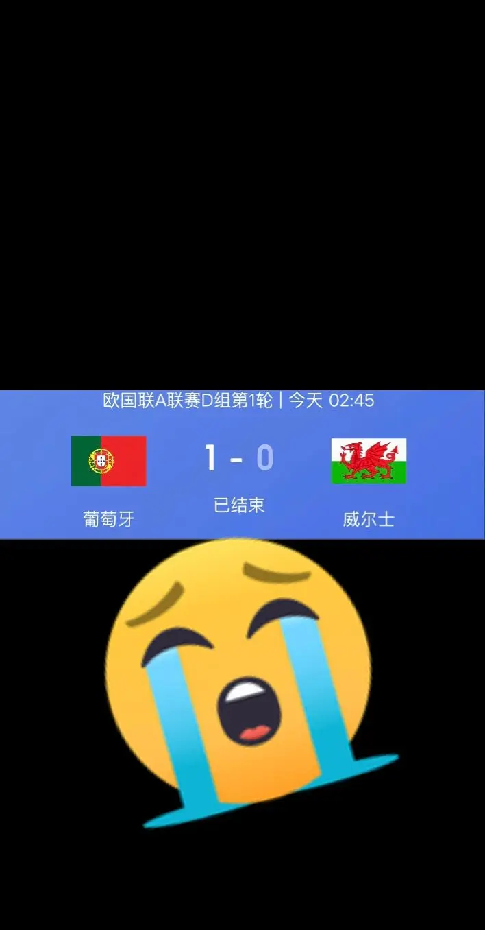 葡萄牙国家队 葡萄牙杯赛