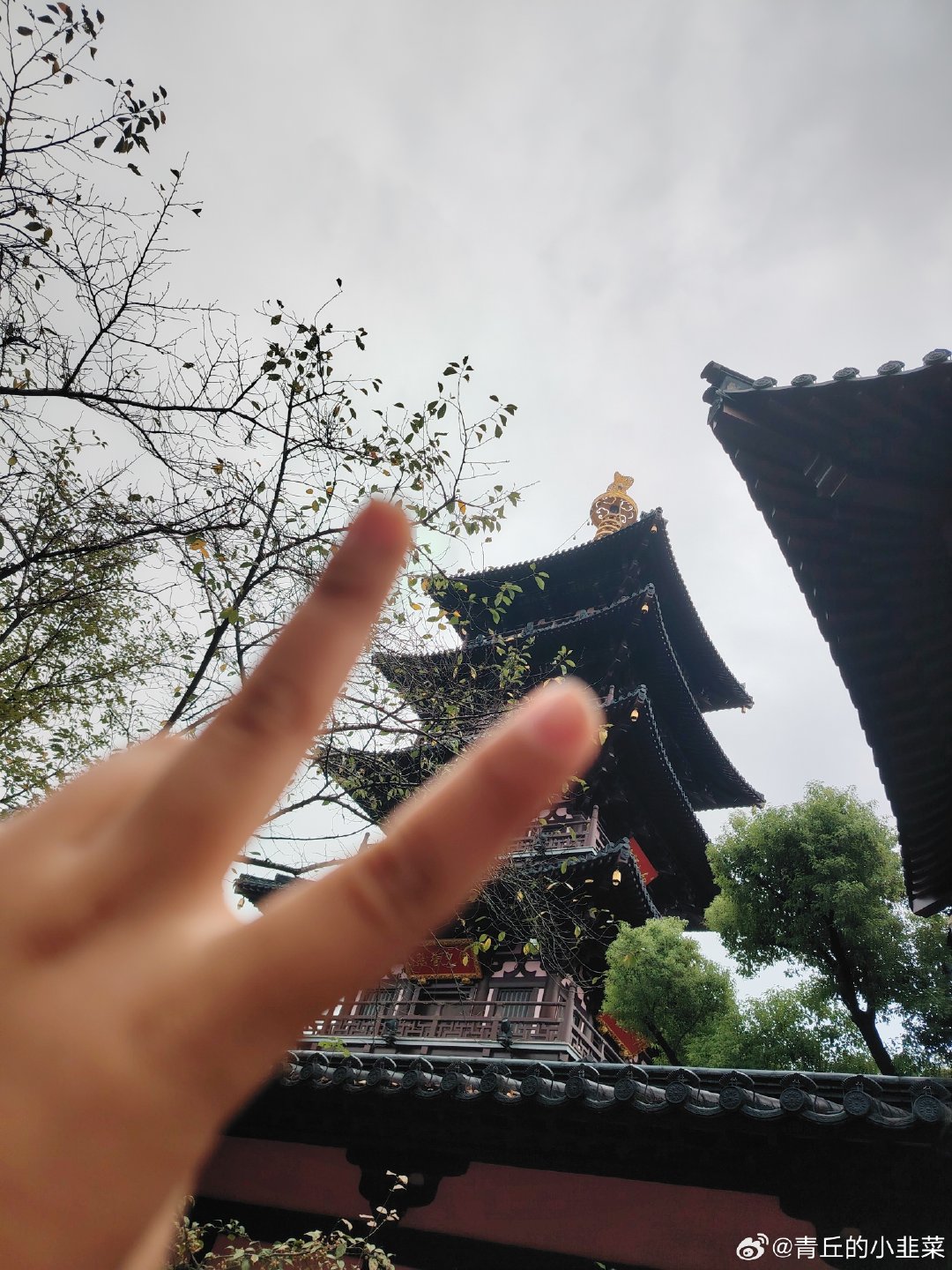 #一国两制台湾方案在岛内引热议#真是想的多，八字有那一撇的前提吗？还想两制，一群🐸🐸🐸，甘为日子的二等公民，两制的前提是啥是和平一，🈶那个前提吗？我觉得他们纯属想的多，愿意作日子的二等公民，有何资格谈两制的条件… ​