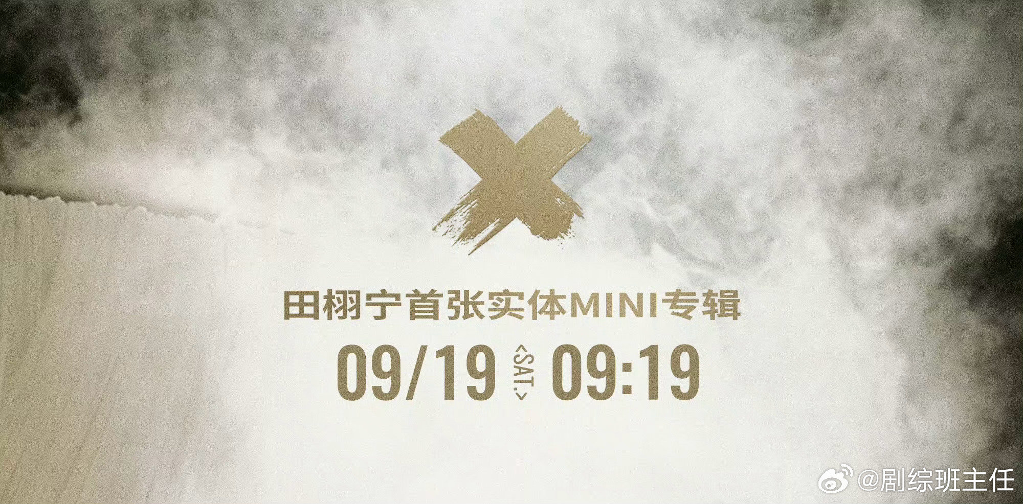 #田栩宁专辑海报被指抄袭the9#有网友指出田栩宁专辑海报“X”的标志疑似抄袭the9，但也有人说这个元素很大众，你们怎么看[傻眼] ​