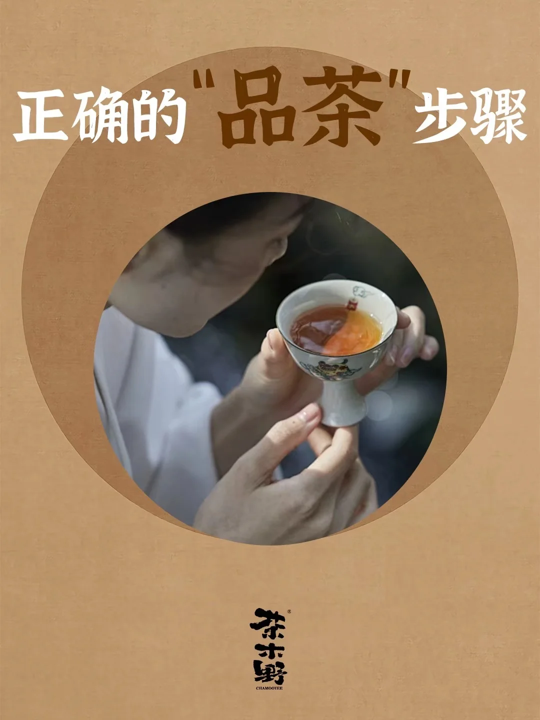 三看 三闻 三品丨品茶的正确步骤
