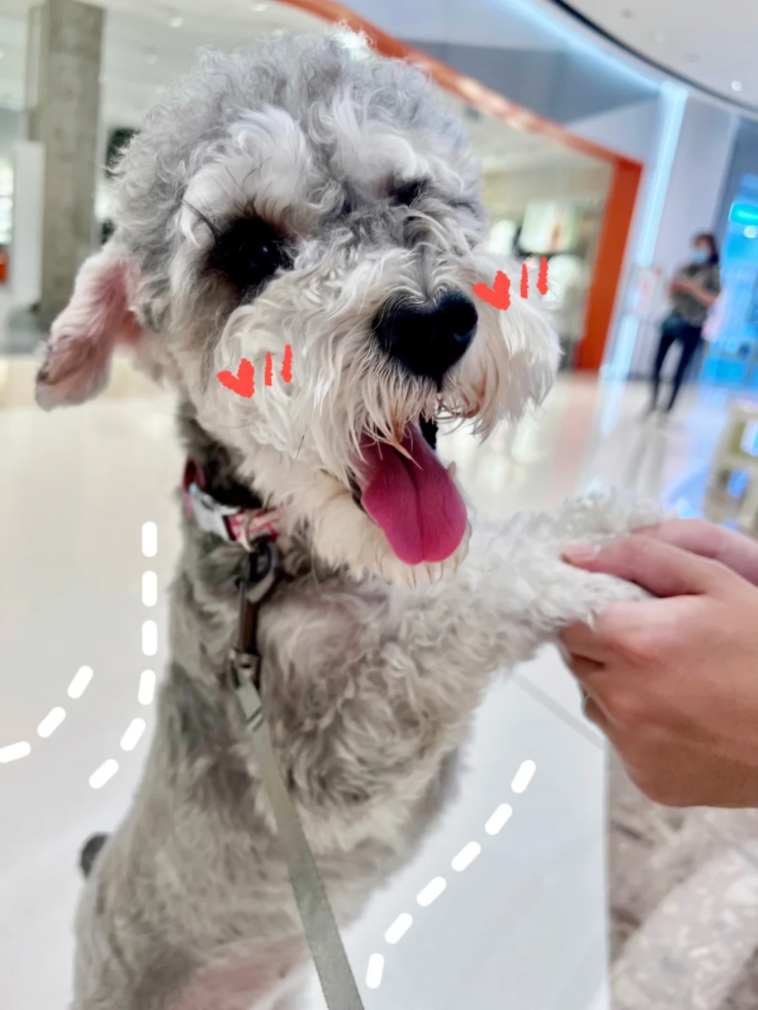 每次一逛超市就超开心的viki💕