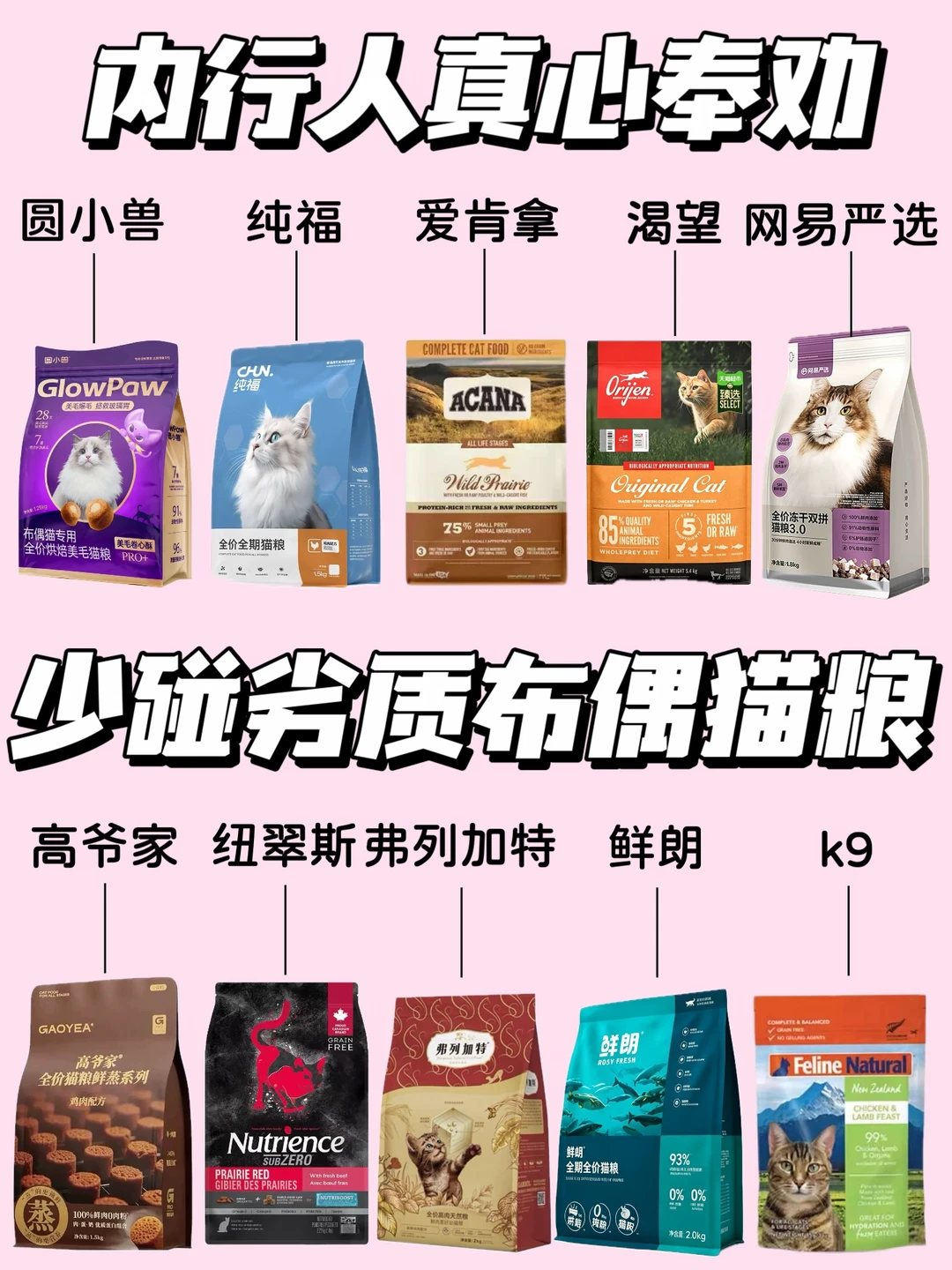 布偶养猫实测｜多款猫粮真实喂养体验