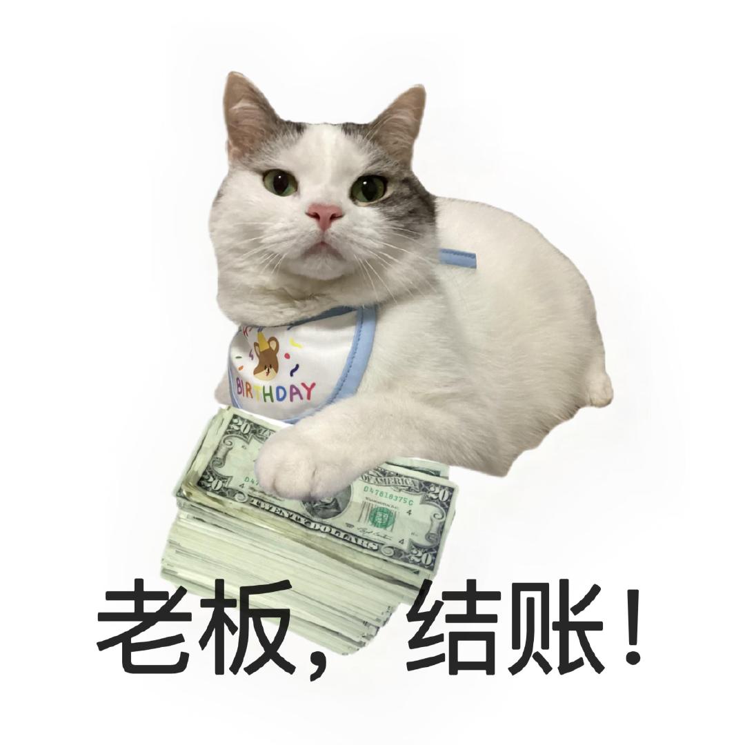 以前抢首发图新鲜现在好多都理智了，蹲个二手旧机，花小钱照样能用上旗舰机，省钱还不折腾。#闲鱼苹果17promax搜索量一夜涨了近4倍##苹果发布会后闲鱼出现旗舰错峰消费现象# ​