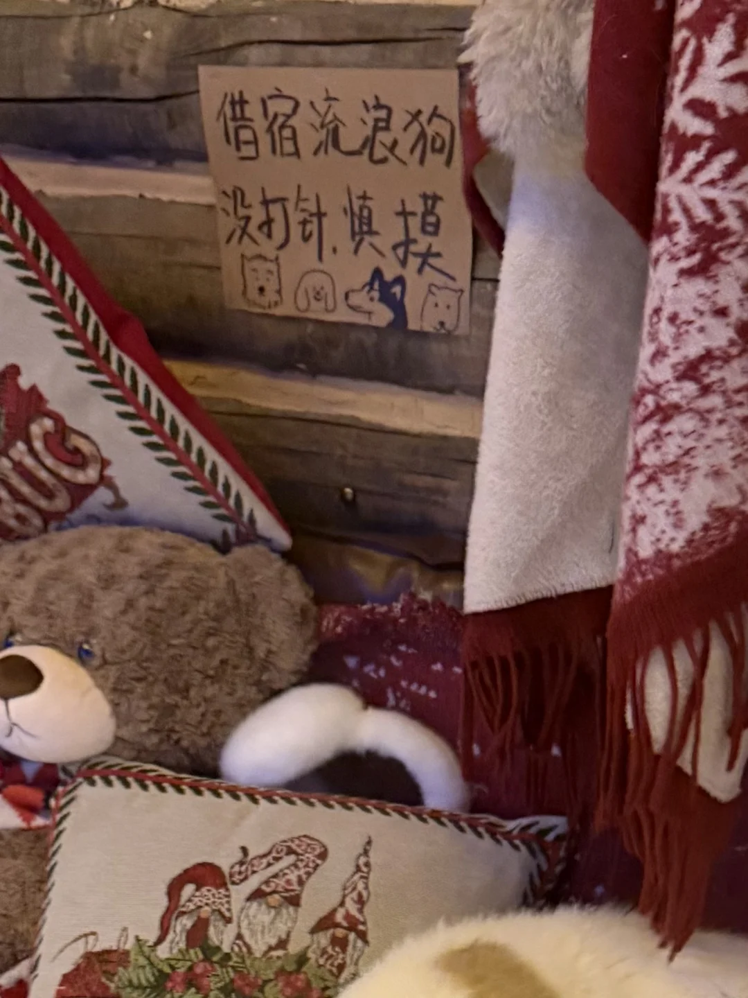 禾木村！！！直接被劝退了！！！