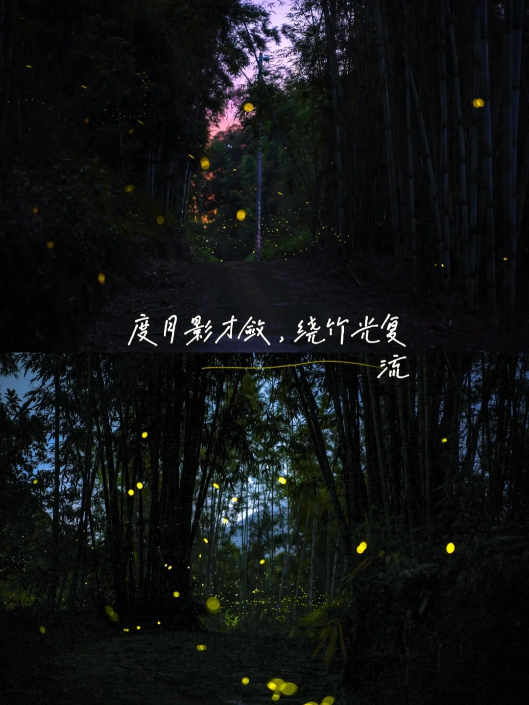 爱树天堂小镇|私藏萤火虫秘境的宝藏民宿